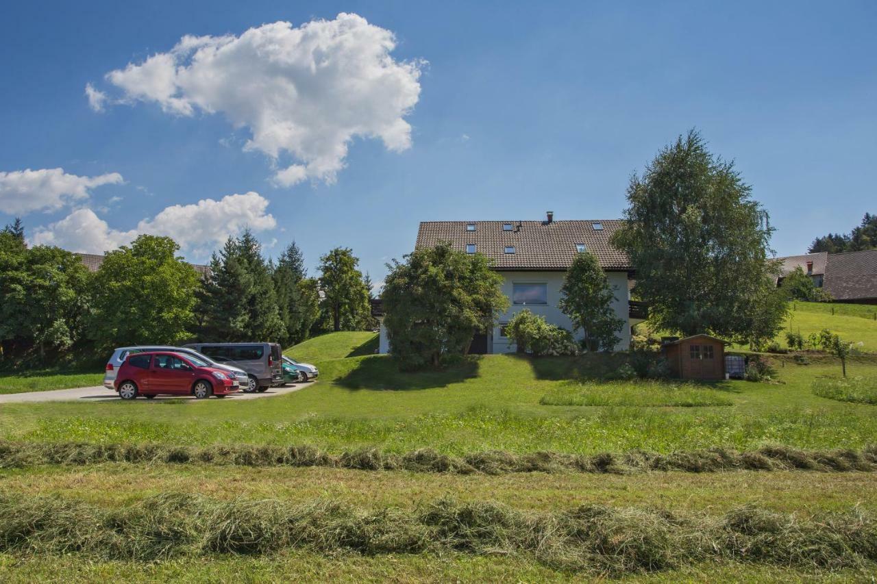Apartments Perla ゴレンスカ地方 エクステリア 写真